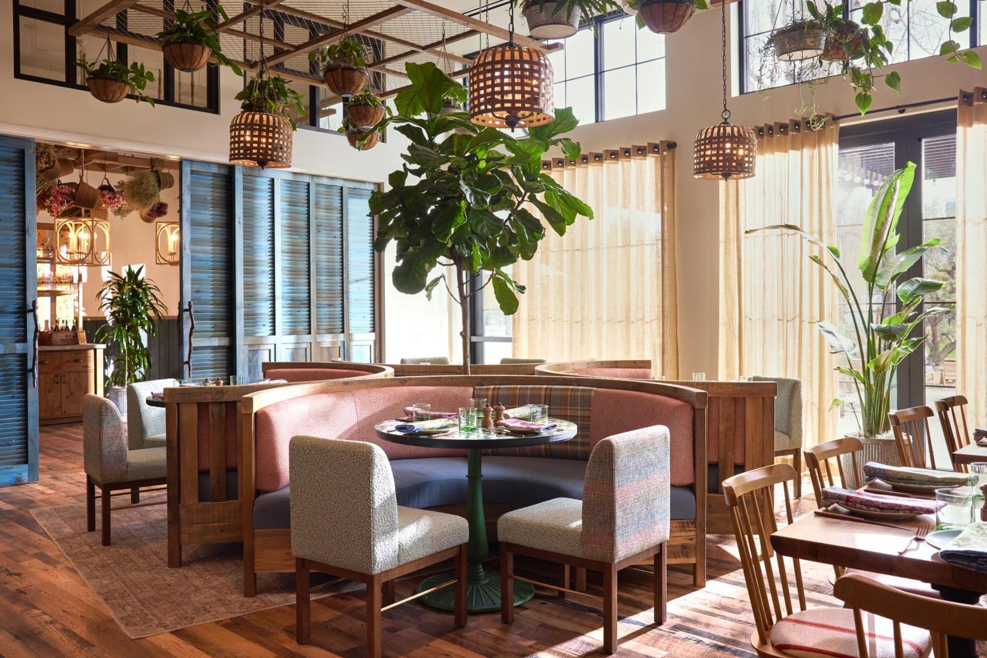 Treehouse Hotel Silicon Valley سانيفال، كاليفورنيا المظهر الخارجي الصورة