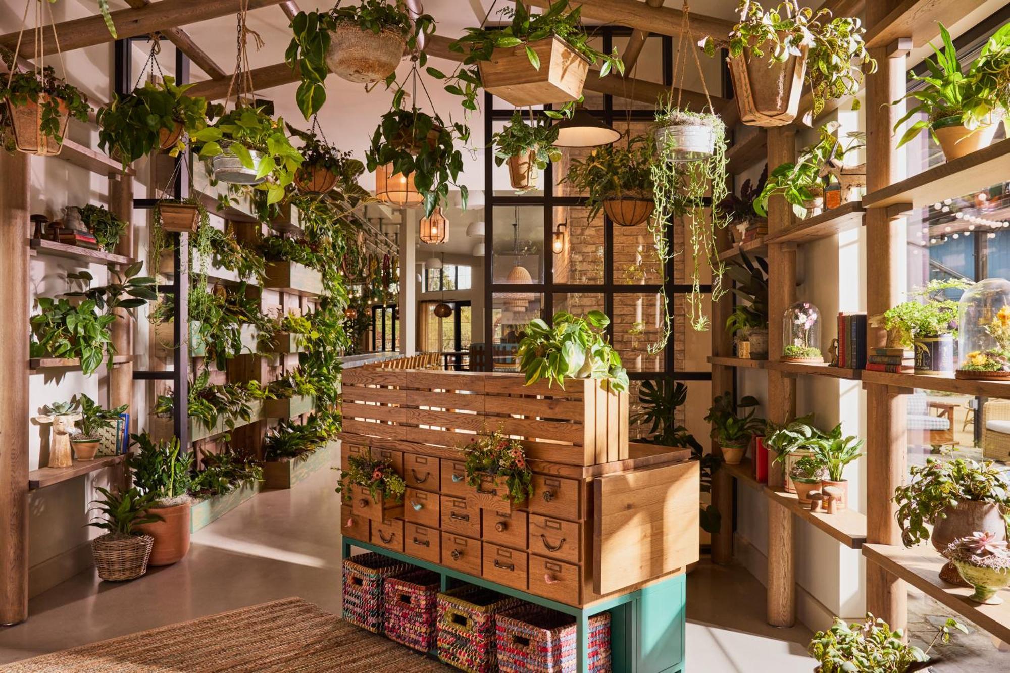 Treehouse Hotel Silicon Valley سانيفال، كاليفورنيا المظهر الخارجي الصورة